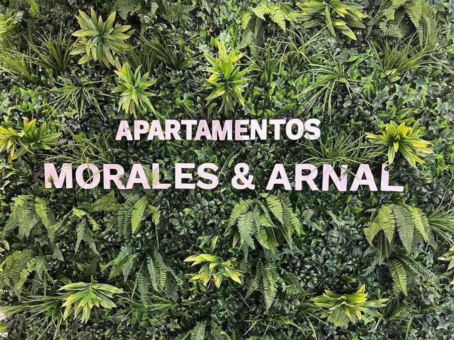 רונדה XX D Apartamentos Morales & Arnal מראה חיצוני תמונה